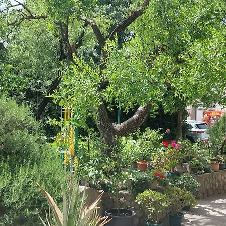 Апартаменти A Charming Oasis In The Heart 2