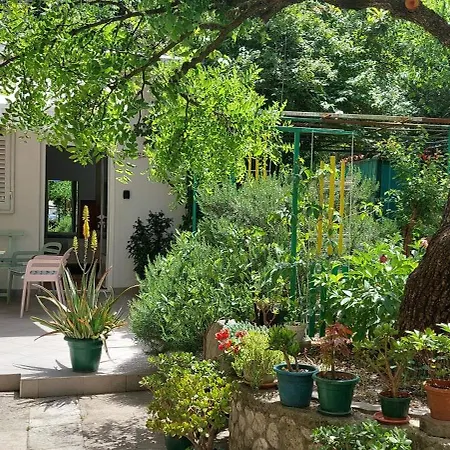 A Charming Oasis In The Heart 2 Апартаменти *