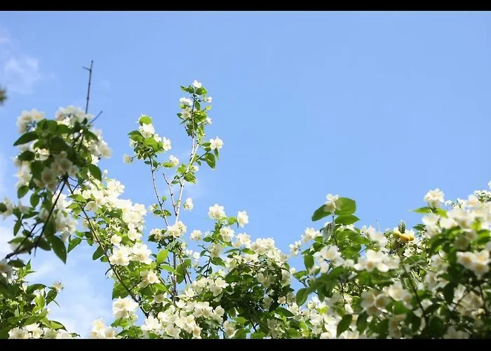 A Charming Oasis In The Heart 2 Makarska