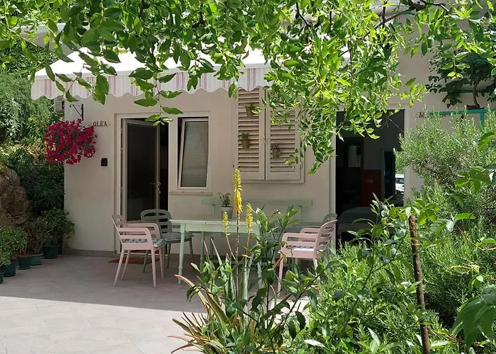 A Charming Oasis In The Heart 2