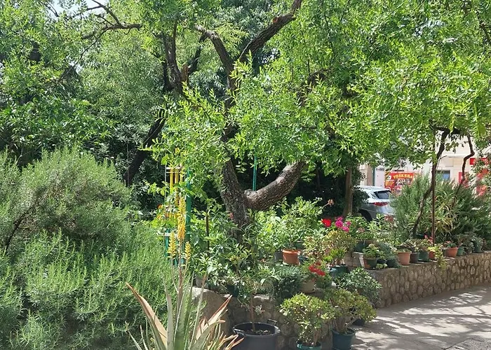 Daire A Charming Oasis In The Heart 2